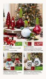 Pflanzen Kölle Prospekt woche 47 Seite 3