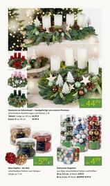 Pflanzen Kölle Prospekt woche 47 Seite 4