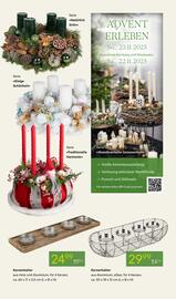 Pflanzen Kölle Prospekt woche 47 Seite 5