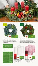 Pflanzen Kölle Prospekt woche 47 Seite 6