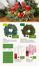 Pflanzen Kölle Prospekt woche 47 Seite 6