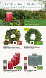 Pflanzen Kölle Prospekt woche 47 Seite 7