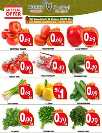 Ugarit Market flyer Page 2