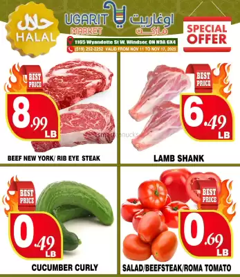 Ugarit Market flyer (valid until 10-12)