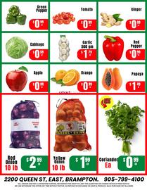 Singh Bazaar flyer Page 4