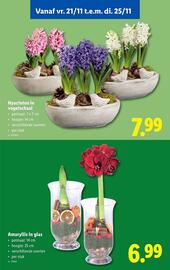 Lidl folder week 47 Pagina 62