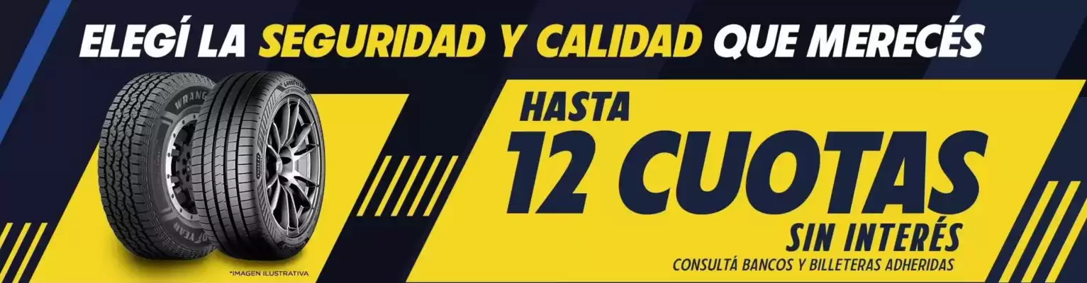 Catálogo Goodyear (válido hasta 30-11)