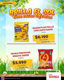 Catálogo Super Ganga Página 1