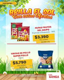 Catálogo Super Ganga Página 8