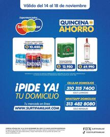 Catálogo Surtifamiliar Página 3