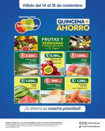 Catálogo Surtifamiliar Página 6