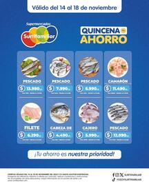 Catálogo Surtifamiliar Página 7