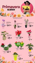 Encarte Giassi Supermercados semana 46 Página 1