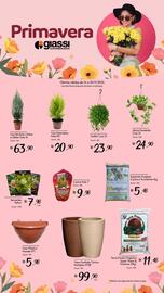 Encarte Giassi Supermercados semana 46 Página 2