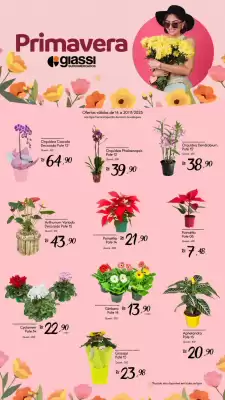 Encarte Giassi Supermercados (válido até 20-11)