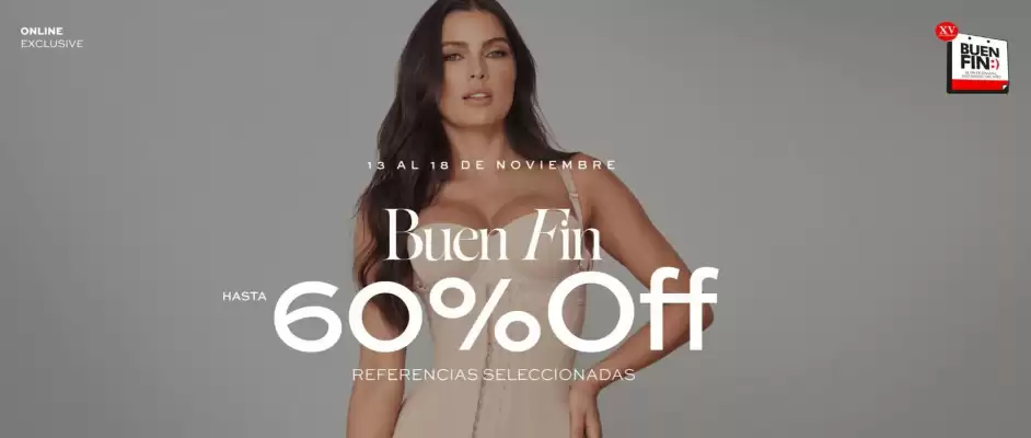 Catálogo Ann Chery (válido hasta 18-11)