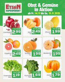 ETSAN Flugblatt Seite 1