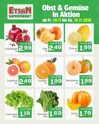 ETSAN Flugblatt (gültig bis 15-11)