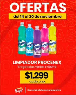 Catálogo Super Nataly (válido hasta 20-11)