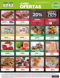Catálogo Jumbo Página 8