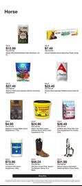 Tractor Supply Company weekly ad week 46 Page 6
