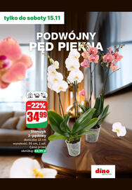 Dino gazetka Strona 5