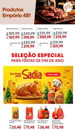 Encarte Zona Sul semana 46 Página 7