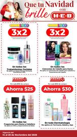 Folleto HEB semana 46 Página 4