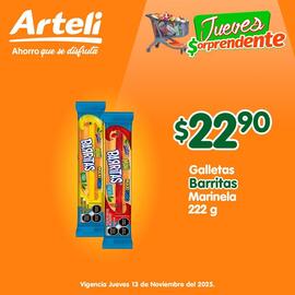 Folleto Arteli Página 3