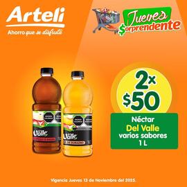 Catálogo Arteli express Página 5