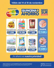 Catálogo Surtifamiliar Página 3