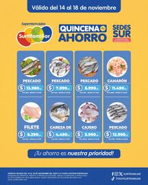 Catálogo Surtifamiliar Página 5