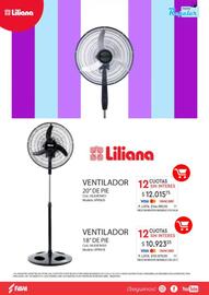 Revista Fava Página 15