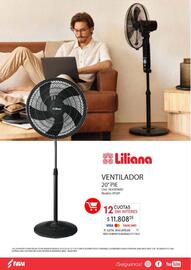 Revista Fava Página 17