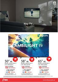 Revista Fava Página 2