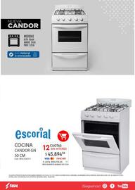 Revista Fava Página 23