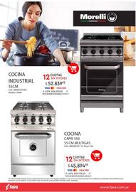 Revista Fava Página 26