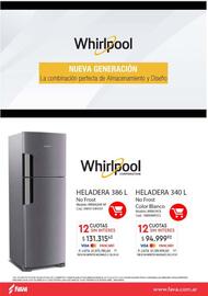 Revista Fava Página 36