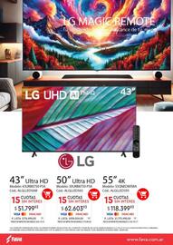 Revista Fava Página 4