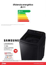 Revista Fava Página 42