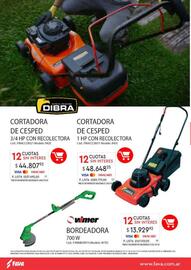 Revista Fava Página 46