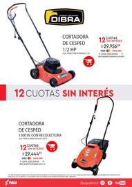 Revista Fava Página 47