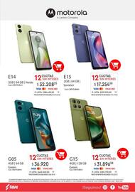 Revista Fava Página 7