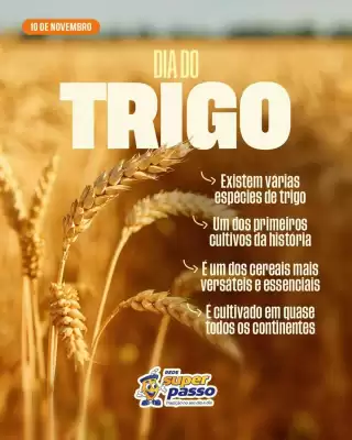 Catálogo Rede Super Passo (válido até 16-11)