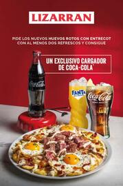 Folleto Lizarran Página 1