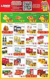 Encarte Lider Atacadista Página 2