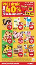 PENNY akciós újság hét 47 Oldal 24