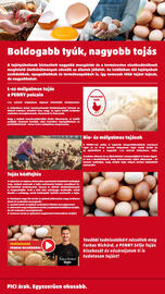 PENNY akciós újság hét 47 Oldal 42