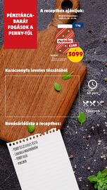 PENNY akciós újság hét 47 Oldal 8