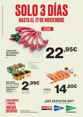 Catálogo El Corte Inglés (válido hasta el 17-11)